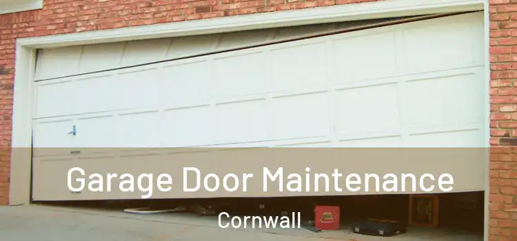 Garage Door Maintenance Cornwall