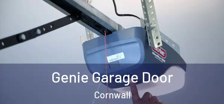 Genie Garage Door Cornwall