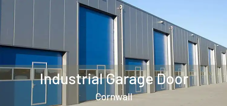 Industrial Garage Door Cornwall